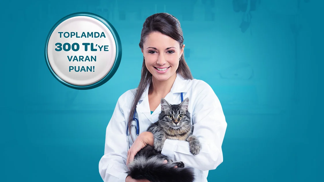 Petshop ve Veteriner Harcamalarınıza 300 TL Worldpuan