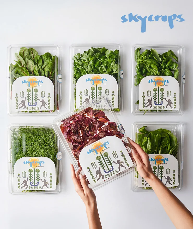 SKYCROPS’ta 150 TL değerinde Para Puan!