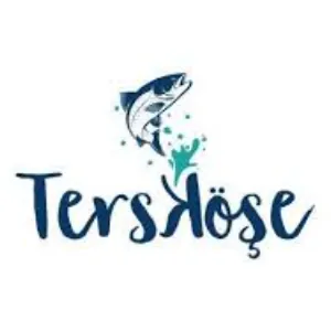 Ters Köşe